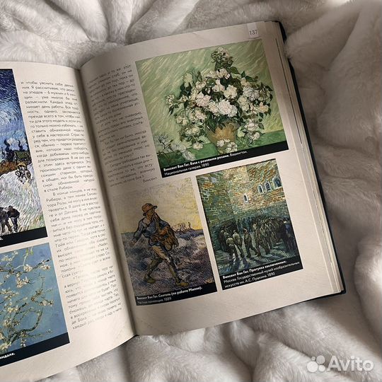 Паола Волкова. Винсент Ван Гог