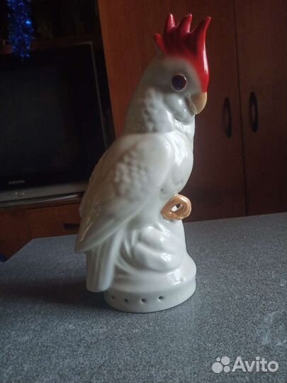 Фарфоровый попугай