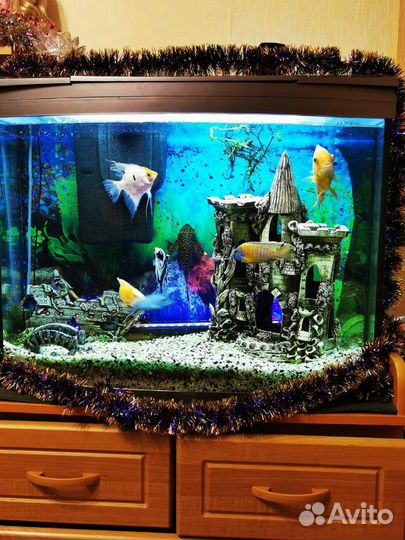 Аквариум Tetra 130 литров с рыбами