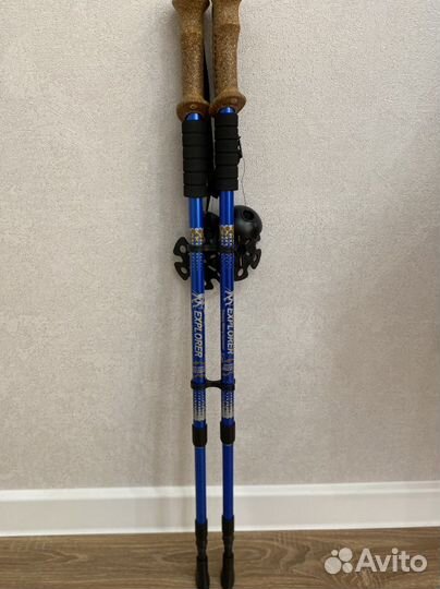 Палки для скандинавской ходьбы (телескопические)