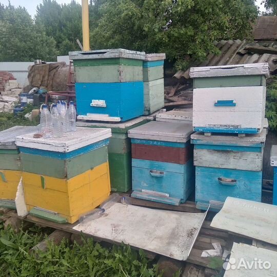 Продаю улья
