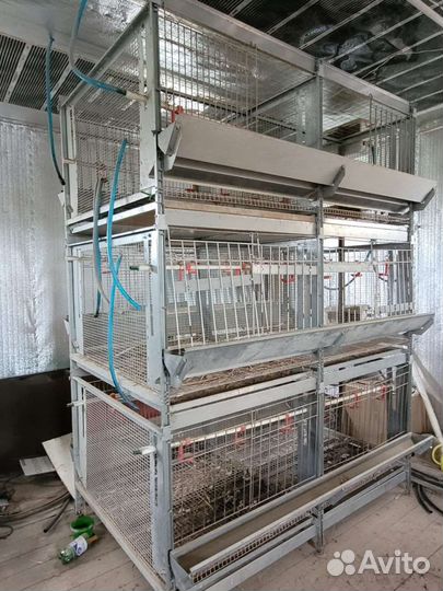 Клетка для птиц