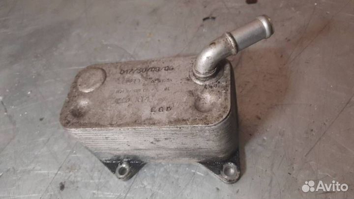 Радиатор масляный Volkswagen Passat B6 2006