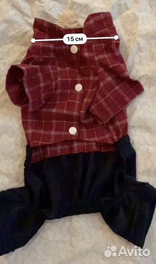 Одежда для собак