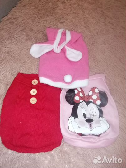 Одежда для животных