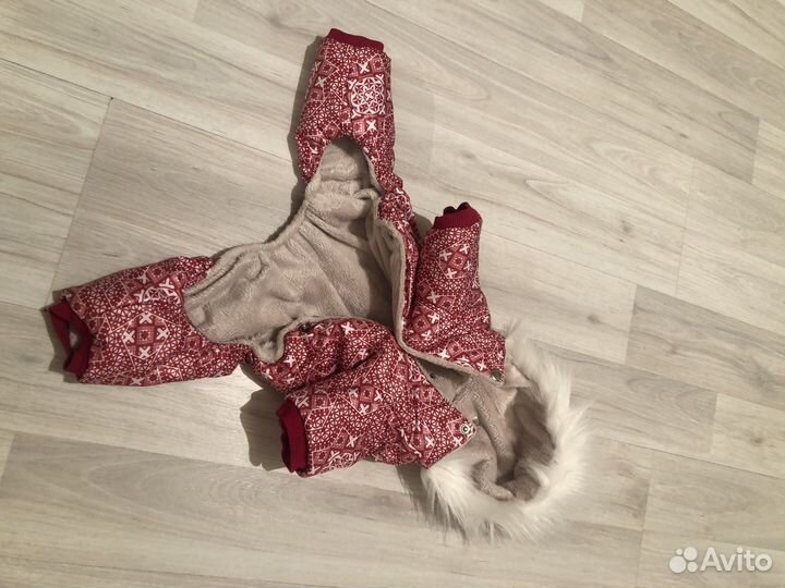 Зимний комбез для маленькой собачки