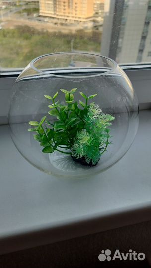 Аквариум с искусственными растениями