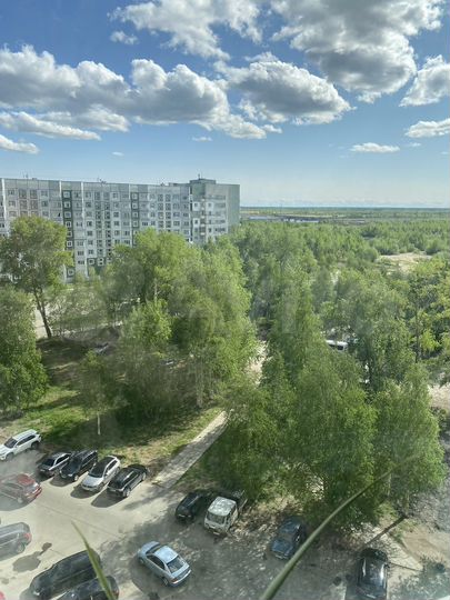 3-к. квартира, 63,9 м², 7/17 эт.