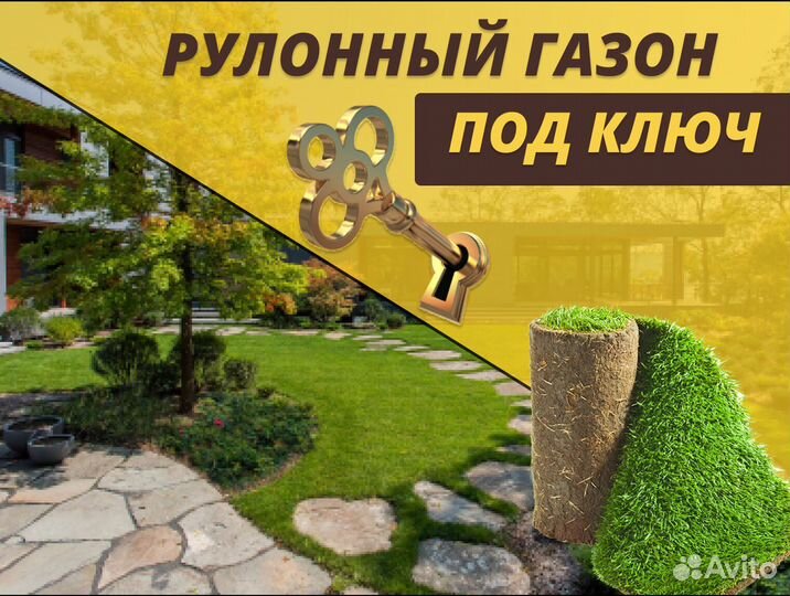 Рулонный газон с укладкой Элитный