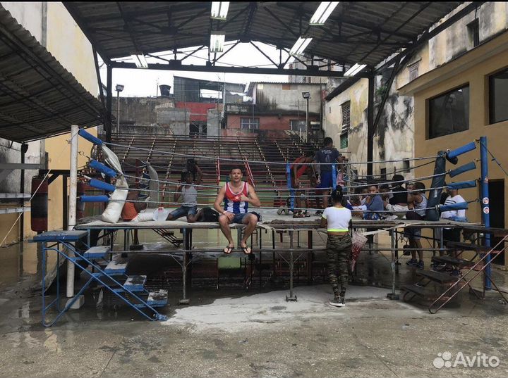 Научу боксу #побитьлапы