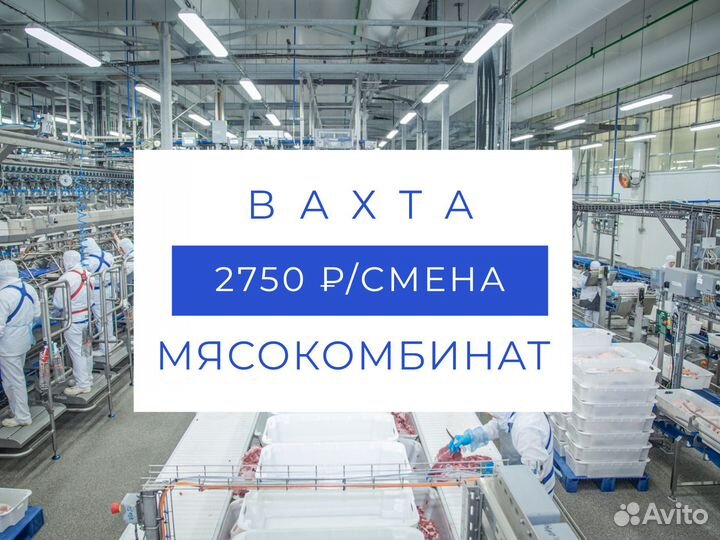 Рабочий на мясокомбинат. Вахта. Воронежская обл