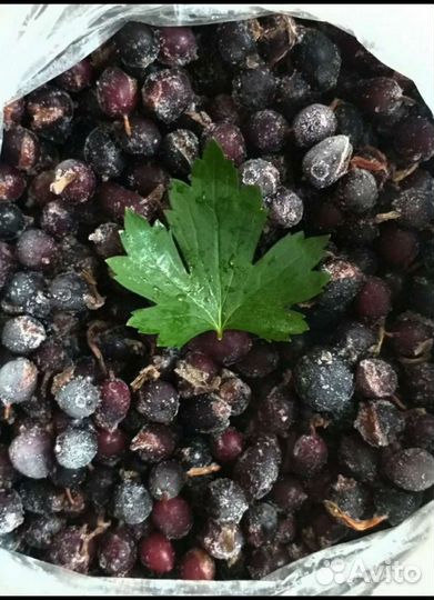 Чёрная смородина замороженная