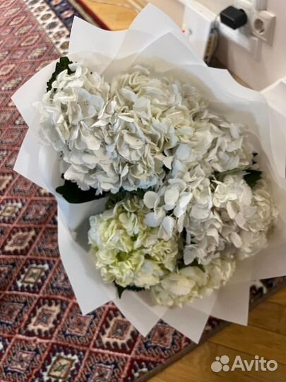 Цветы новые свежие