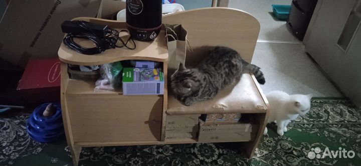 Скамейка из дерева в прихожую бесплатно