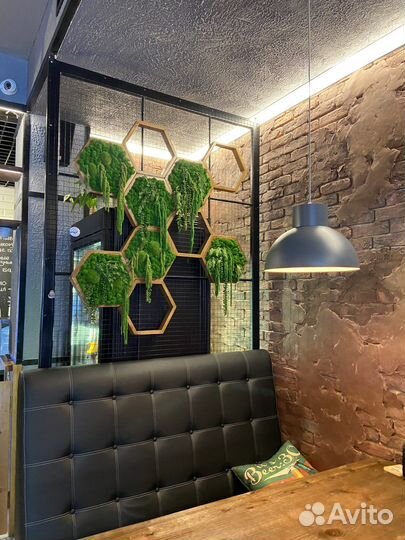 Стабилизированный мох