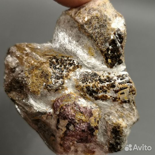 Альмандин и ставролит в сланце