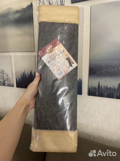 Когтеточка ковровая