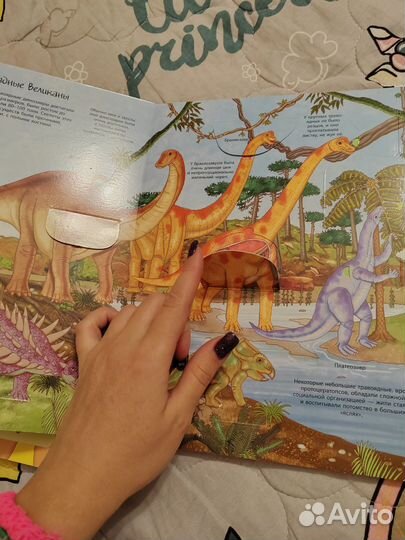 Книжки с окошками 