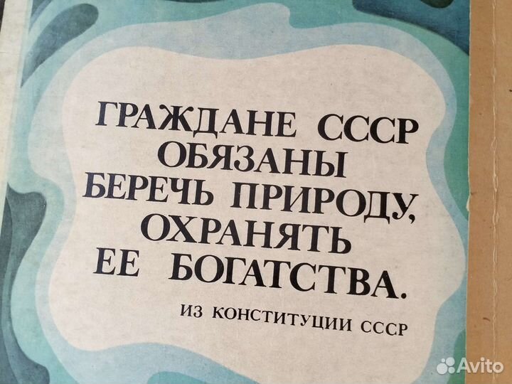 Спички коллекционные