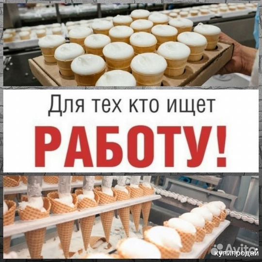Укладчик-упаковщик мороженого, вафельных рожков