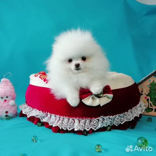 Белый как снег мальчик и девочка