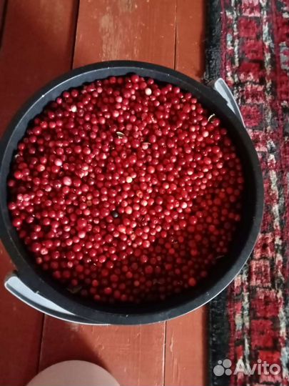 Принимаю заказы на чернику