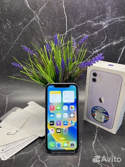 iPhone 11 (64 GB) Purple