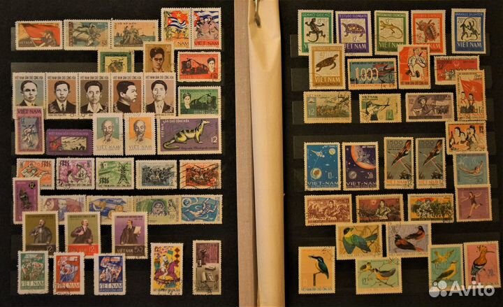 Вьетконг, Северный и Южный Вьетнам