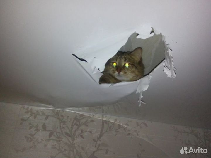 Ремонт натяжных потолков