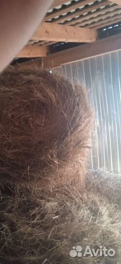 Сено в тюках