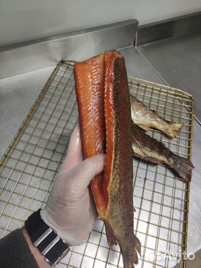 Балык из форели Х/К