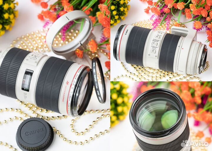 Canon EF 70-200 mm f/2.8 L IS II USM.Рст, гарантия