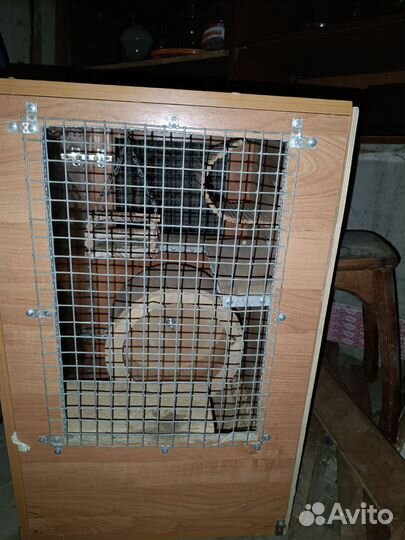 Клетка Витрина для шиншиллы/дегу/хомяк
