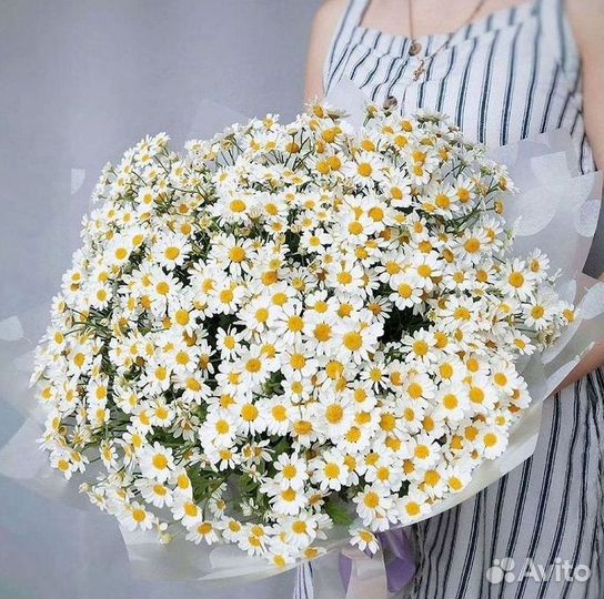 Ромашки букет