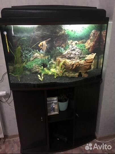 Аквариум