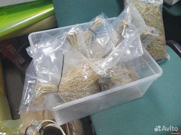 Коробка с сухоцветами