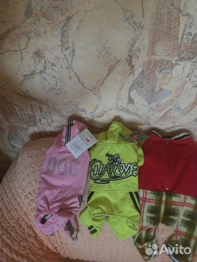 Одежда для собак