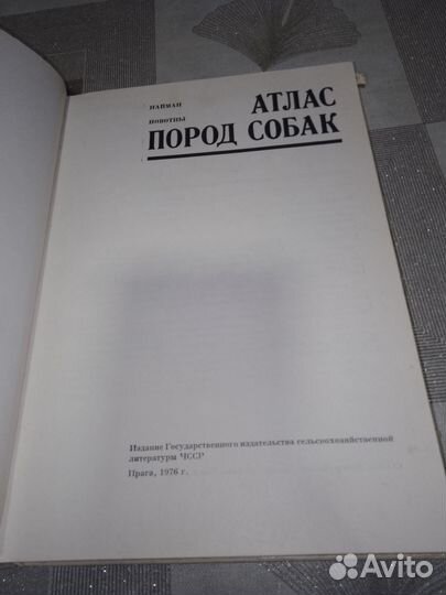 Атлас Пород собак, Найман Новотны