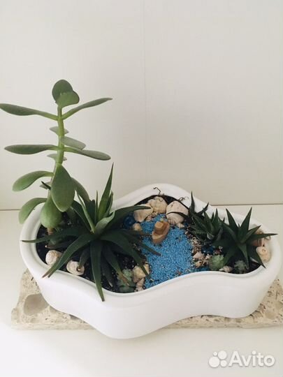 Флорариум композиция