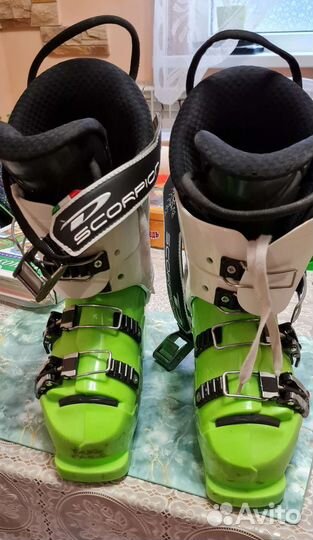 Горнолыжные ботинки dalbello