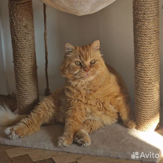 Поилка для животных