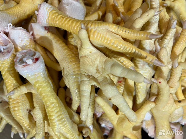 Лапы куриные, корм