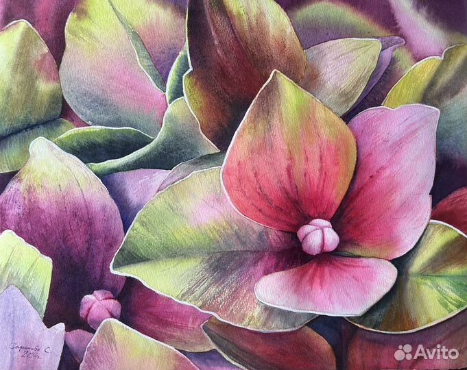 Картина акварель цветы 28х38см