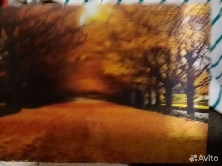 Подарок - Картины объёмные на пластике