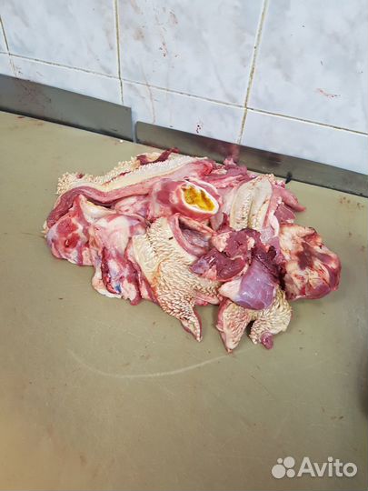 Обрезь говяжья с туш, обрезь говяжья с туш постная