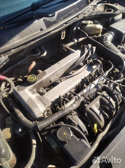 Двигатель Ford Mondeo 3 cjba