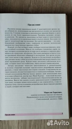 Морские раковины 