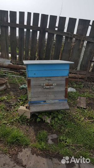 Улей дадан 12 рамочный