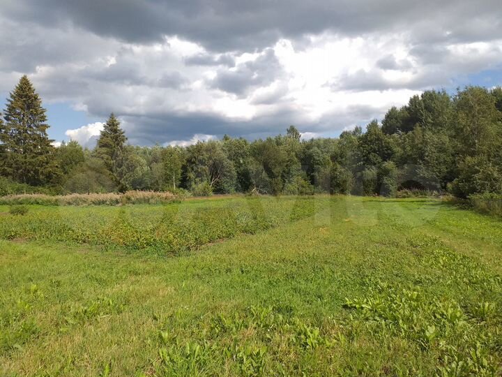 Участок 36 сот. (ИЖС)