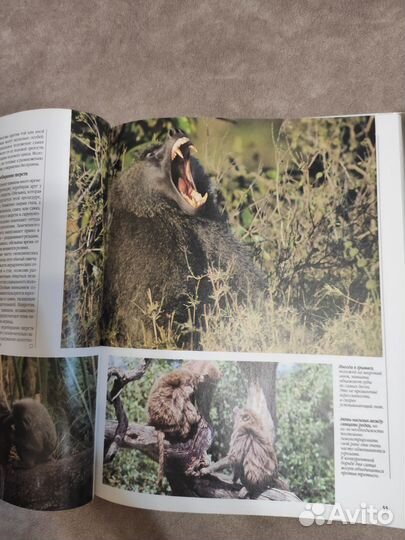 Книги о животных. Атлас мира для школьника